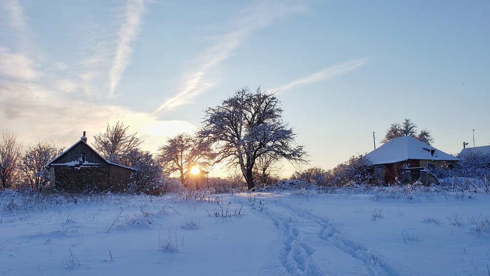 Photo #13809410