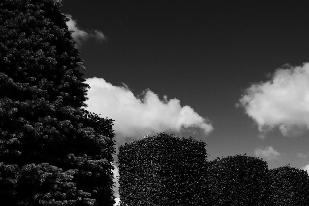 Photograph by Дмитрий Черноус