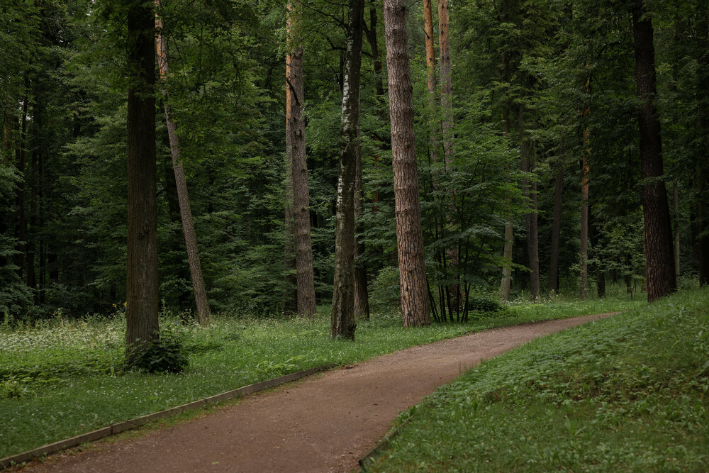 Photograph by Марина Шевцова