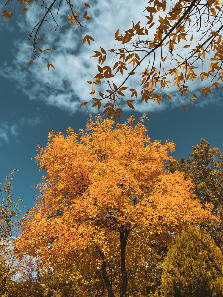 Photograph by Mustafa Akseli