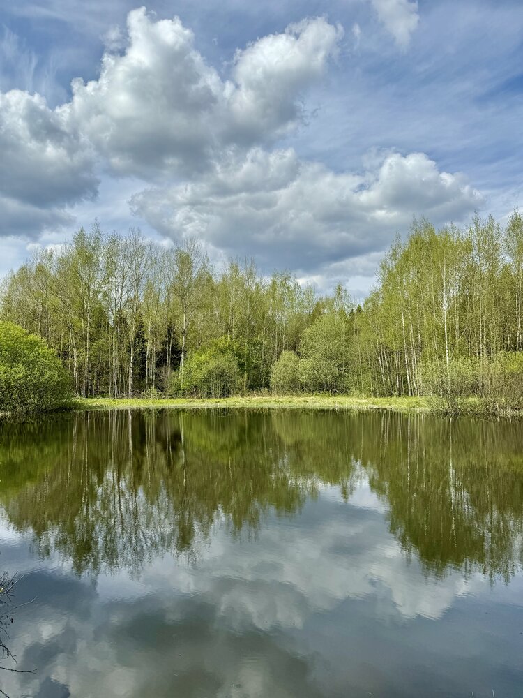 Фотография автора Елена Смирнова