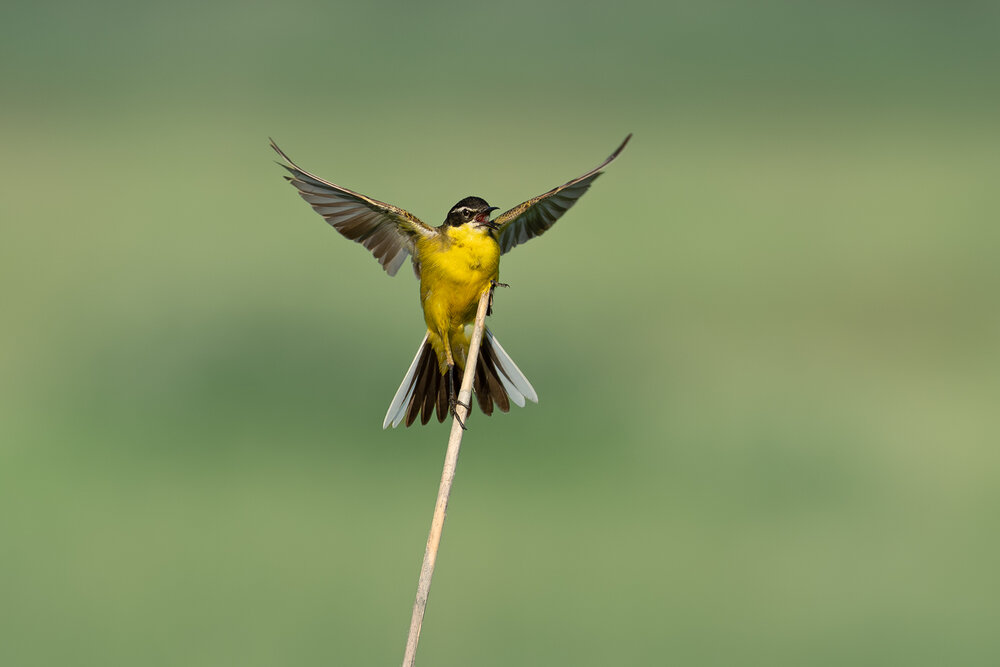 Photograph by Анатолий Садовский