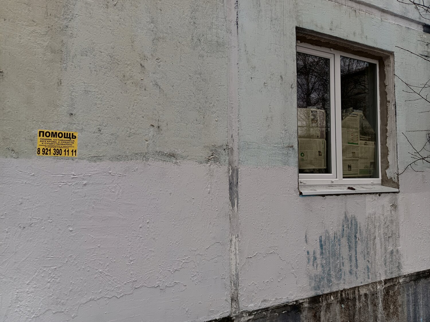 Photo #13809512
