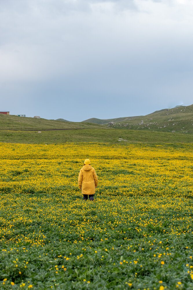 Photograph by Иван Губский