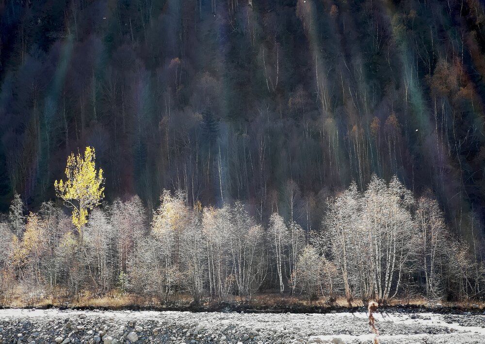 Photograph by Кривенко Владимир