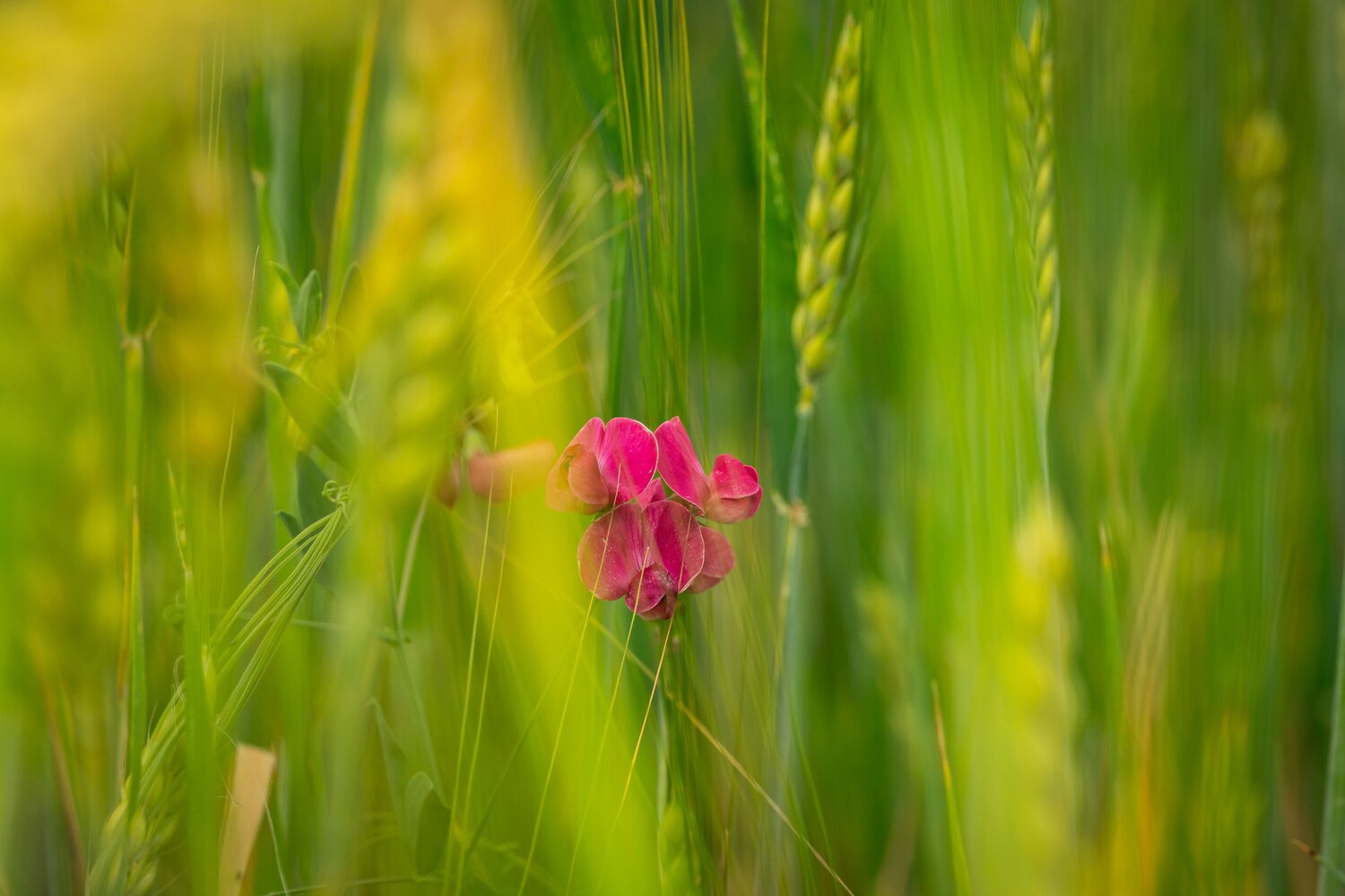 Photo #13809567