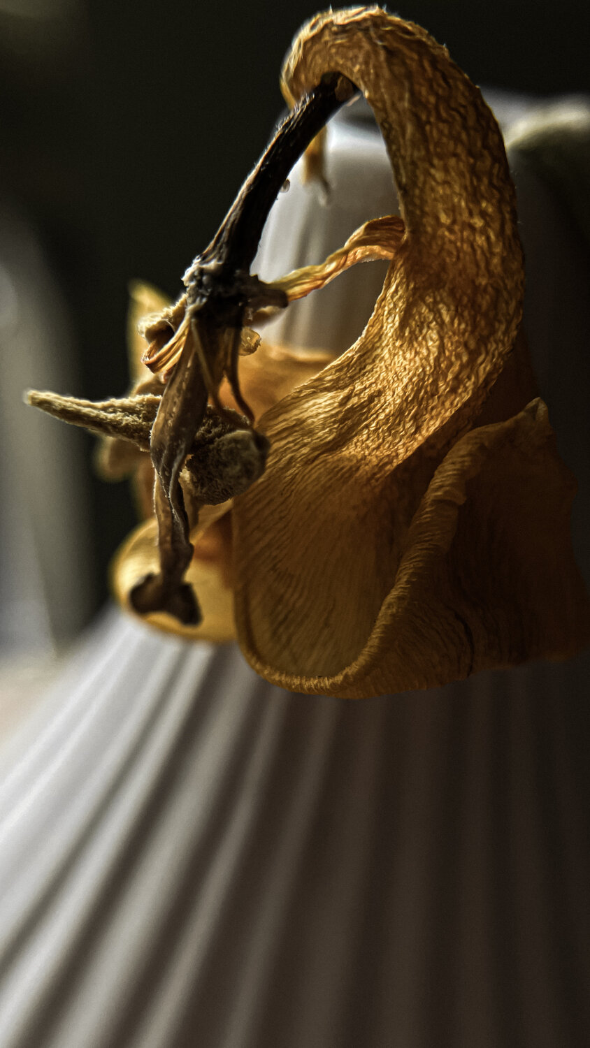 Photo #13809701