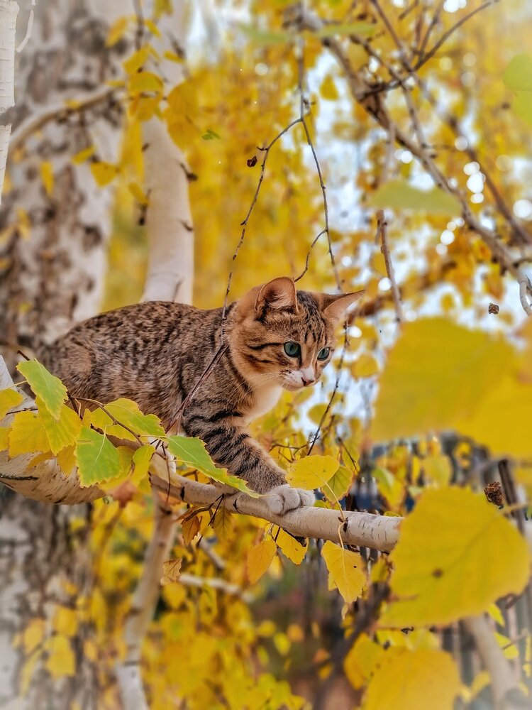 Photograph by Марина Мальцева