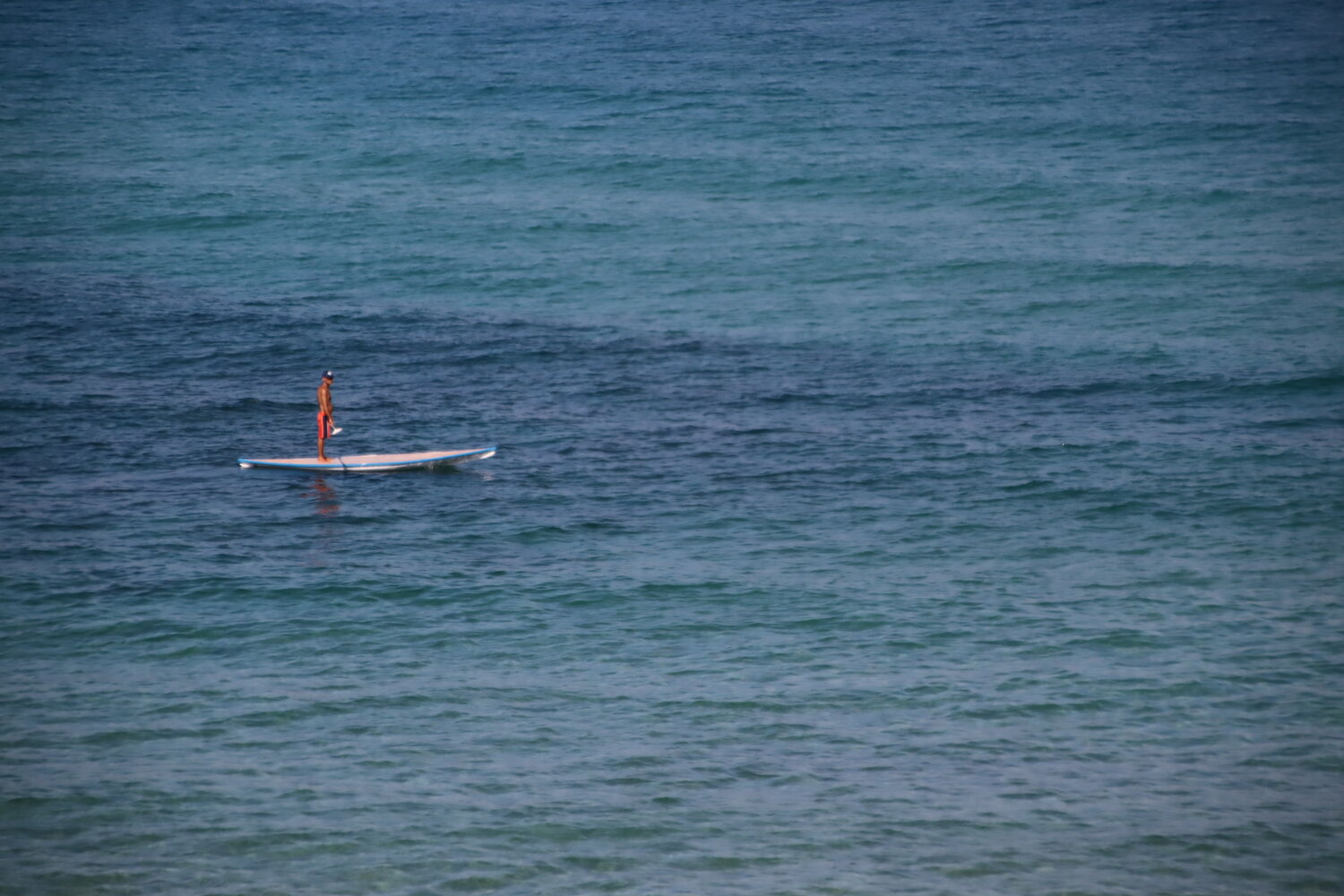 Photo #13809734