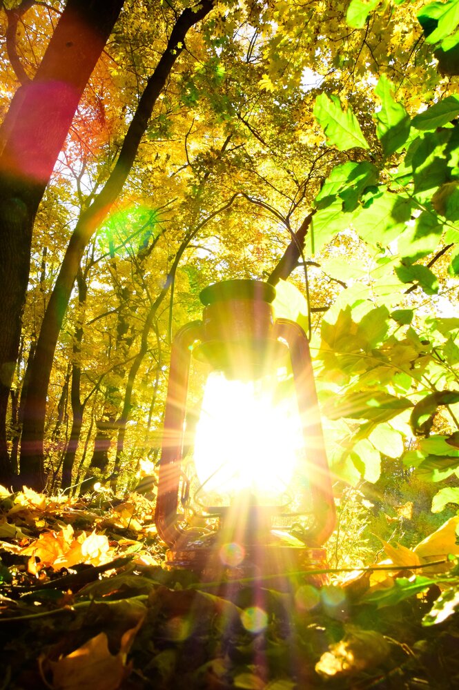 Photograph by Ольга Рыкова