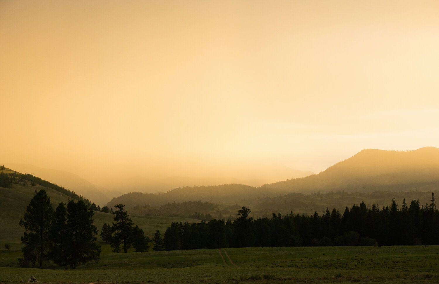 Photo #13809776