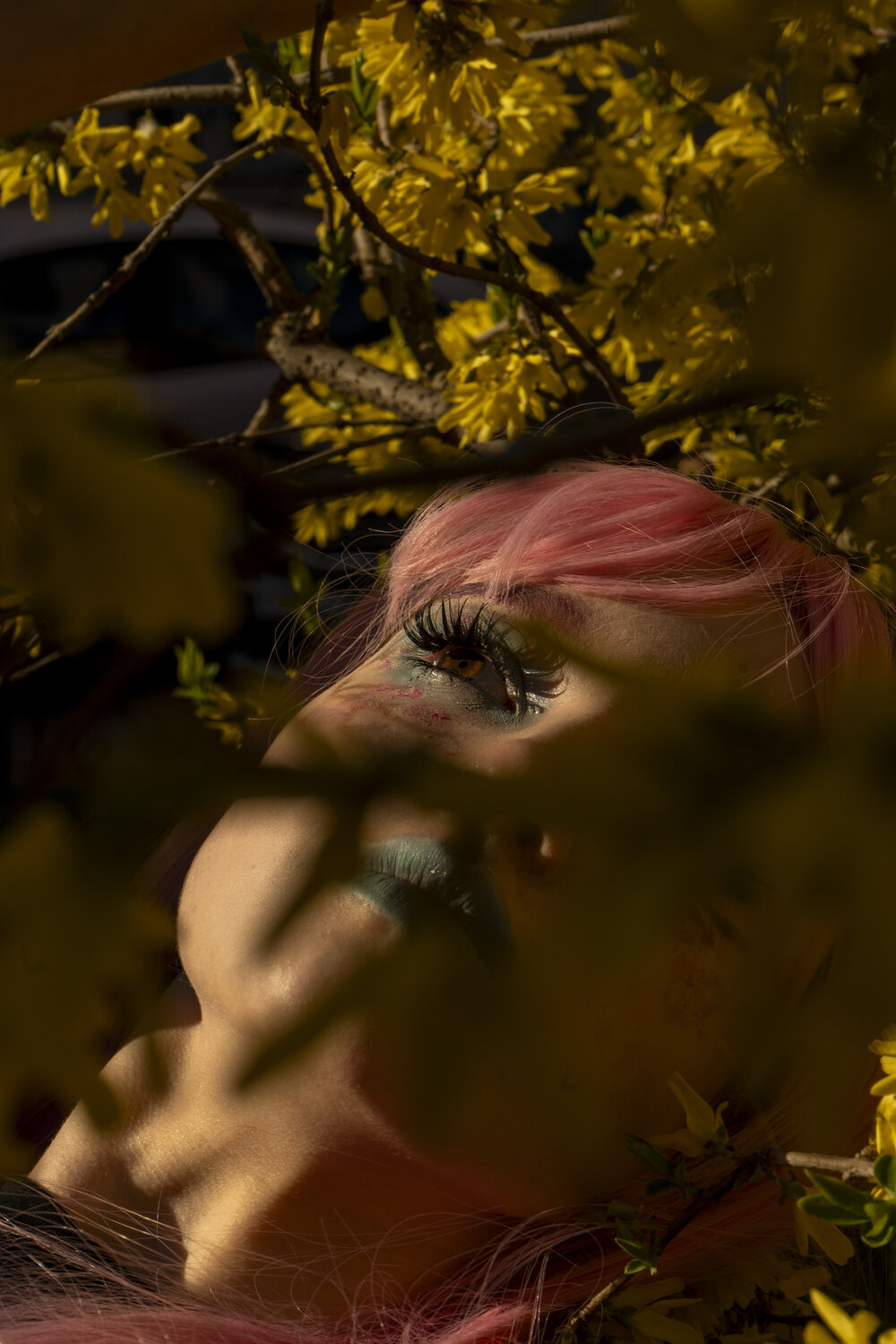 Photo #13809805