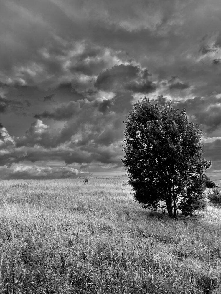 Photograph by Екатерина Сбитякова