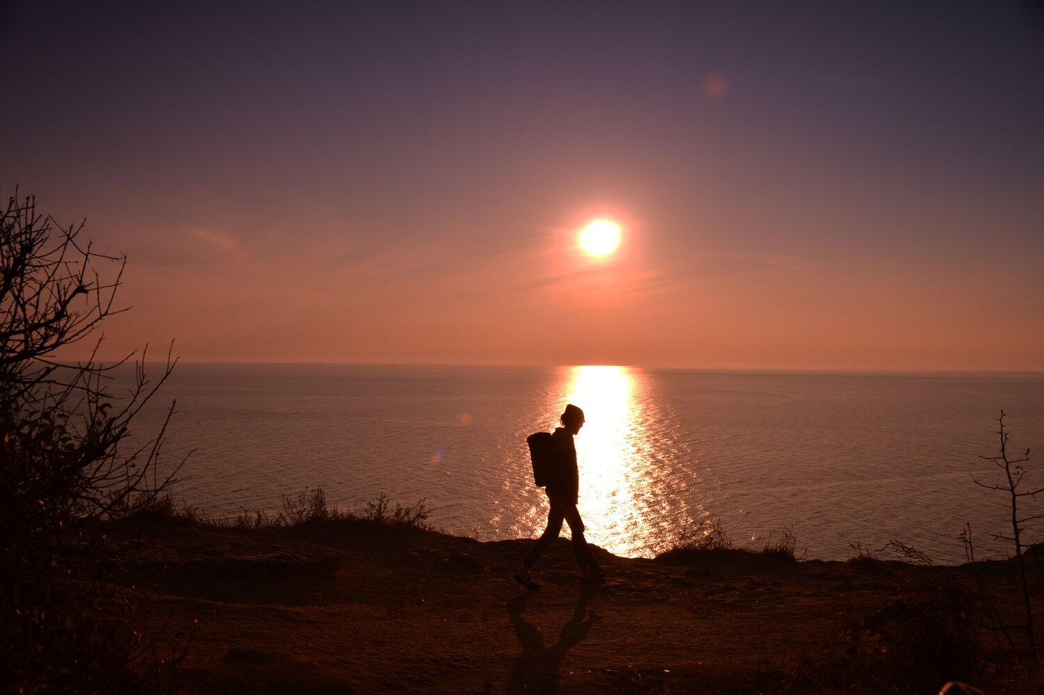 Photo #13809831