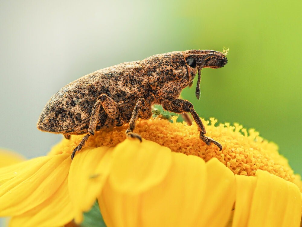 Photograph by Lapshina Vladlena