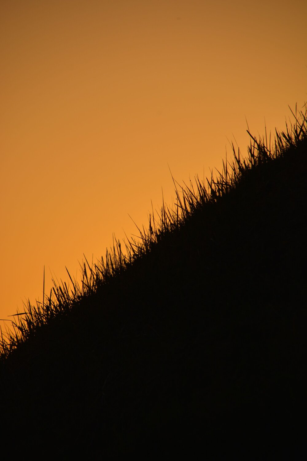 Photo #13809859