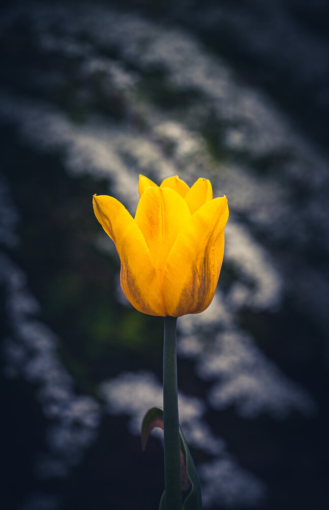 Photograph by Дмитрий Кузнецов