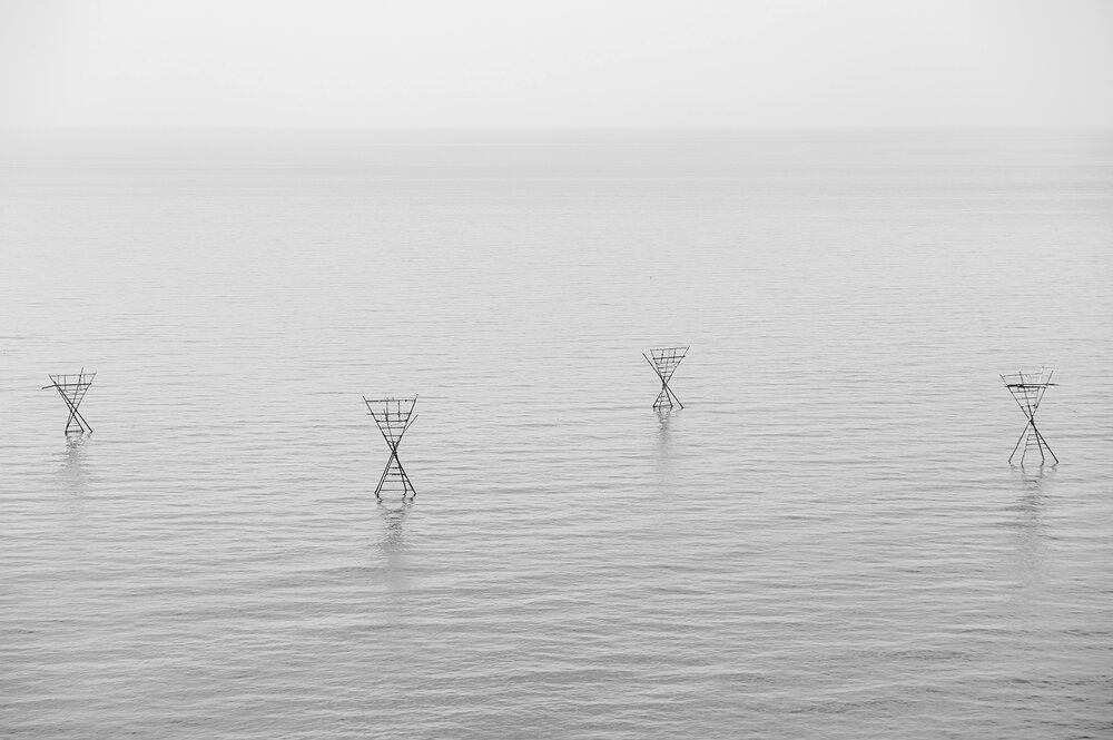 Photograph by Сагдиева Эльвира