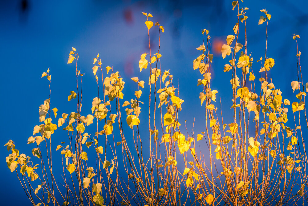 Photograph by Дмитрий Кузнецов
