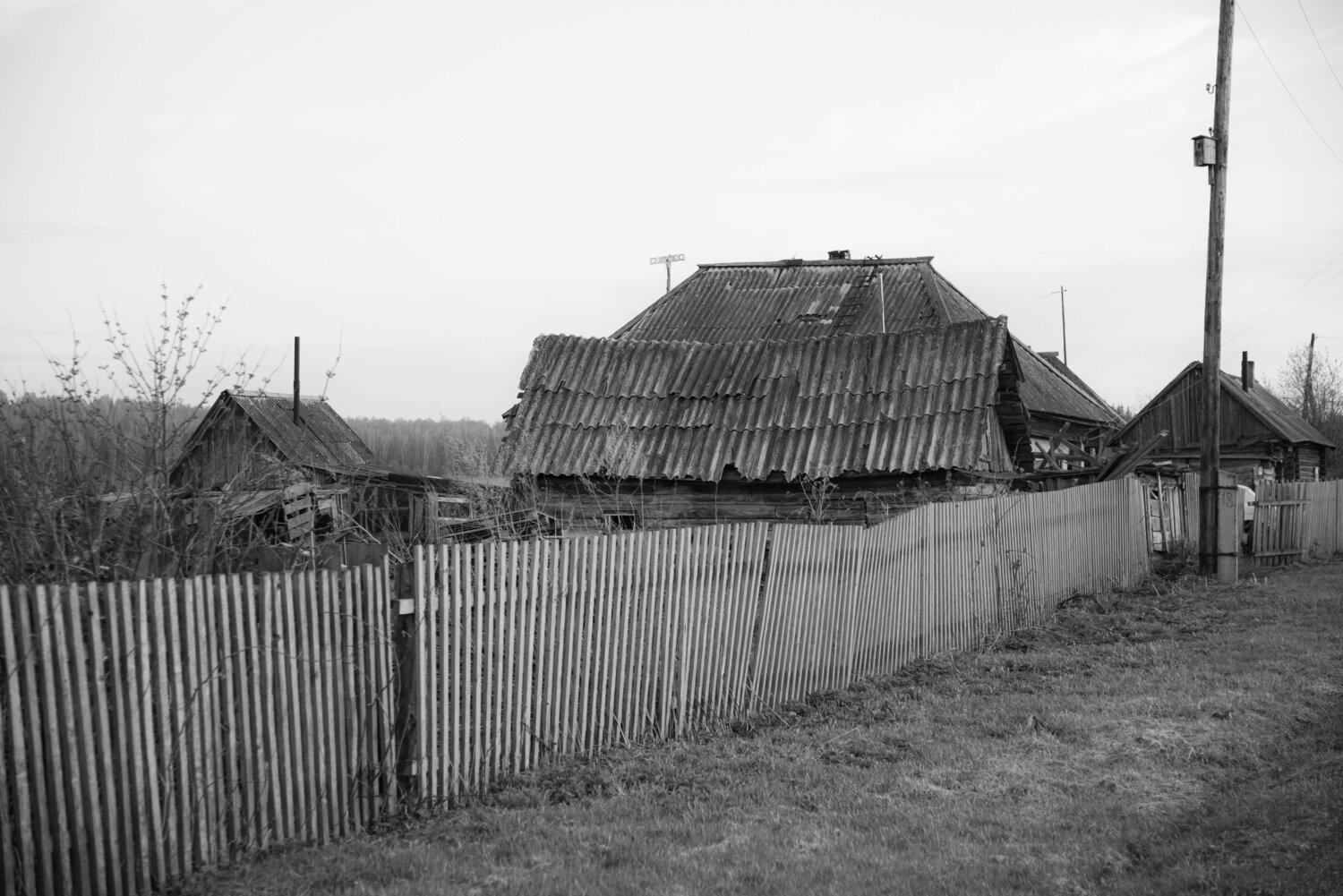 Photo #13809993