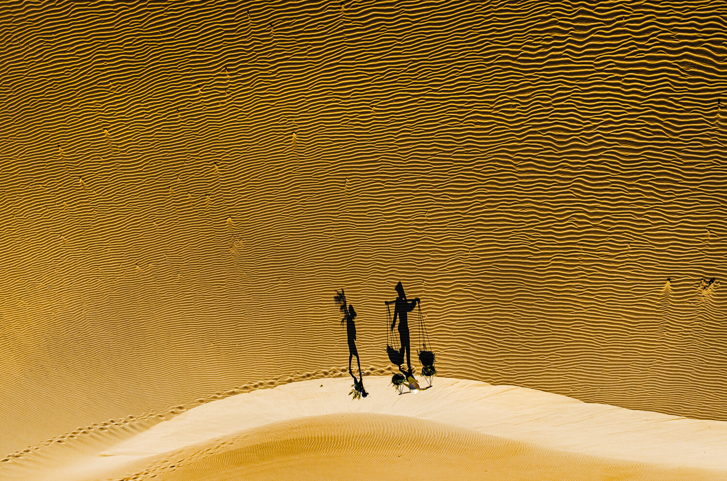 Photo #13810035