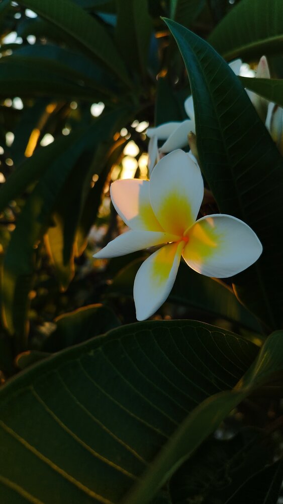 Photograph by ELLA BROD