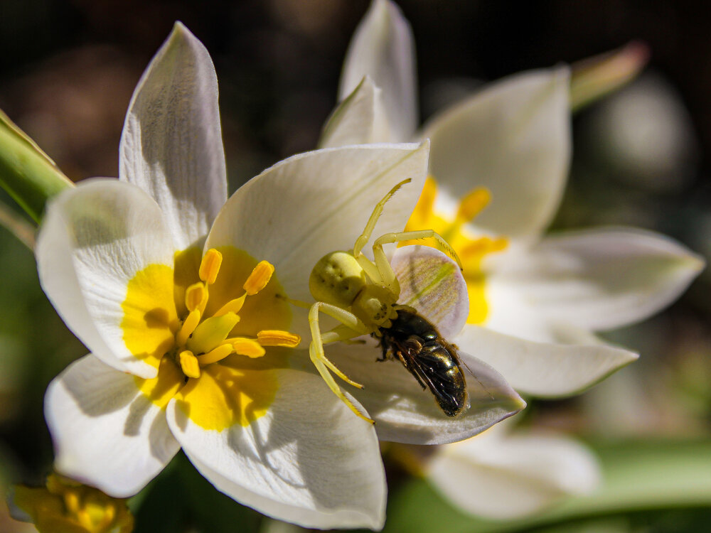 Photograph by Евгения Флиорчук