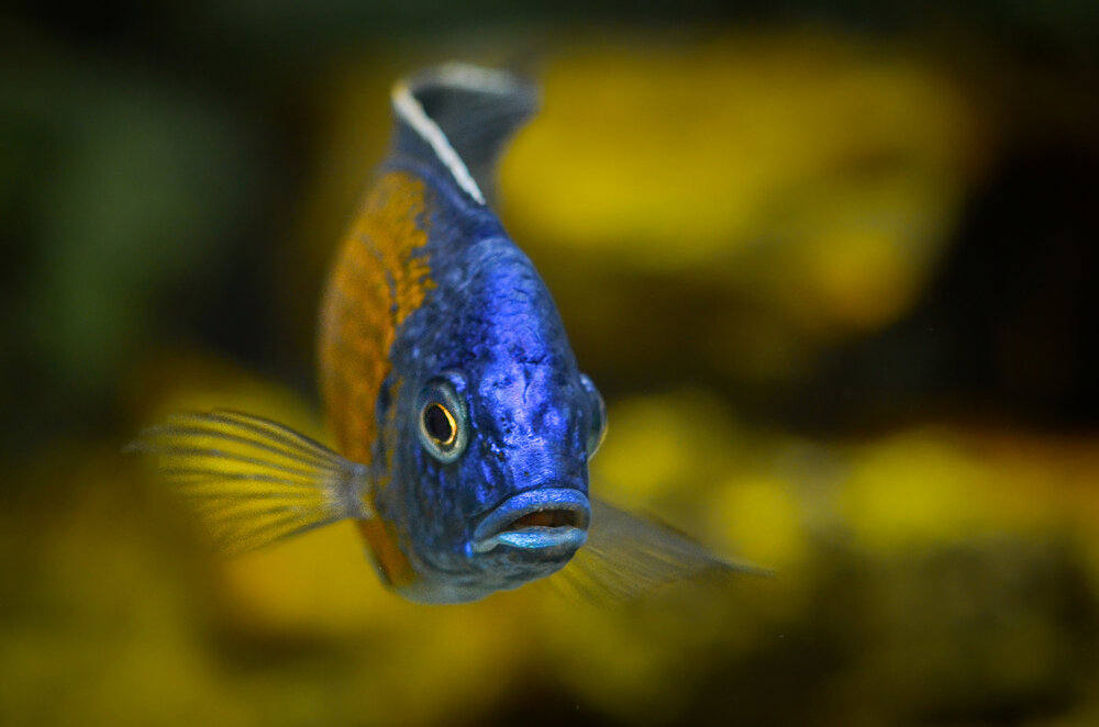 Photograph by Kveta Novotna