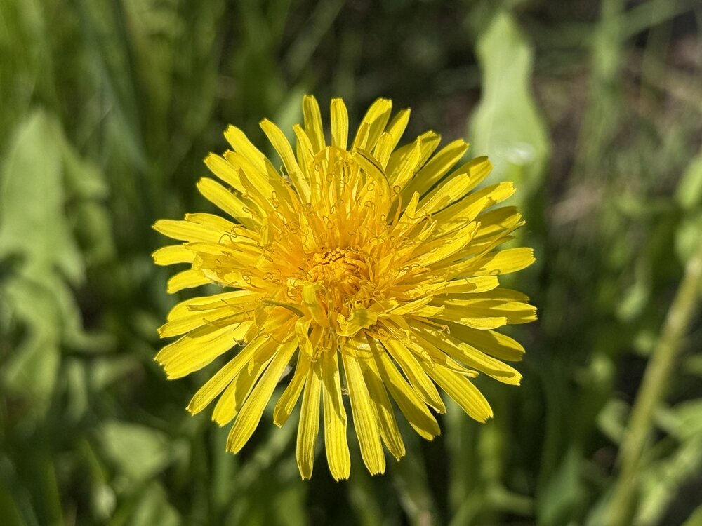 Photograph by Ольга Бородкина