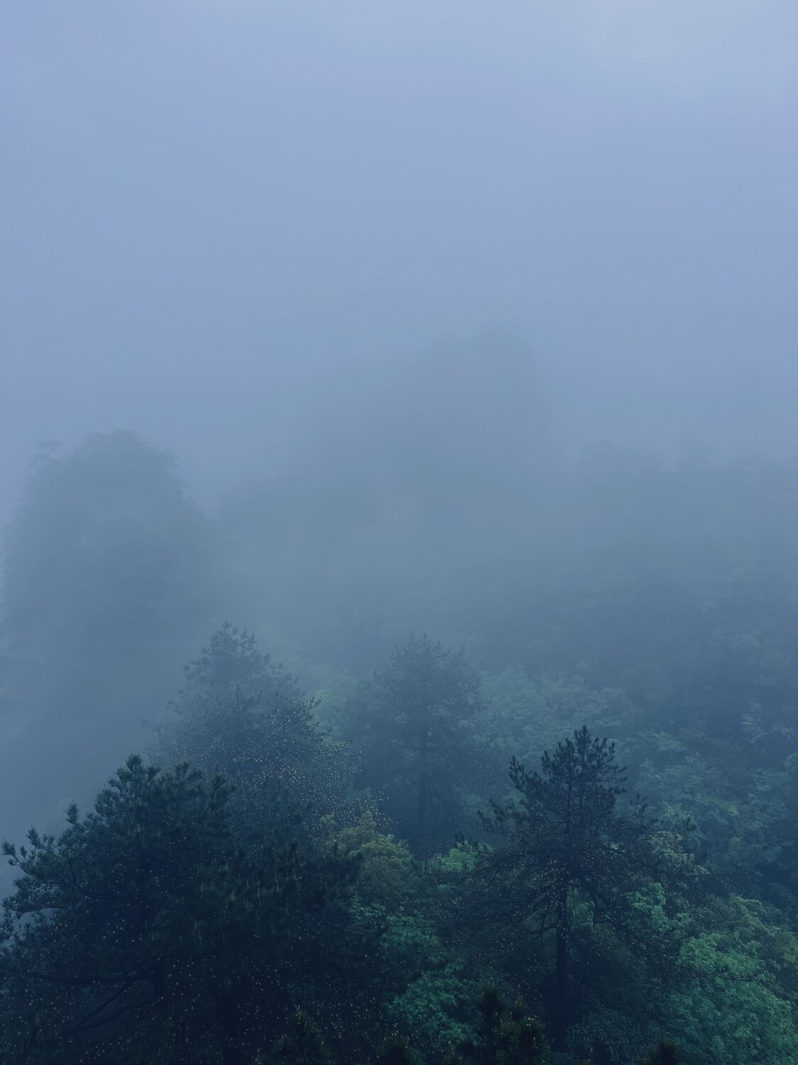 Photo #13810182