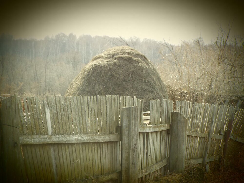 Photograph by lilya Shaykhutdinova