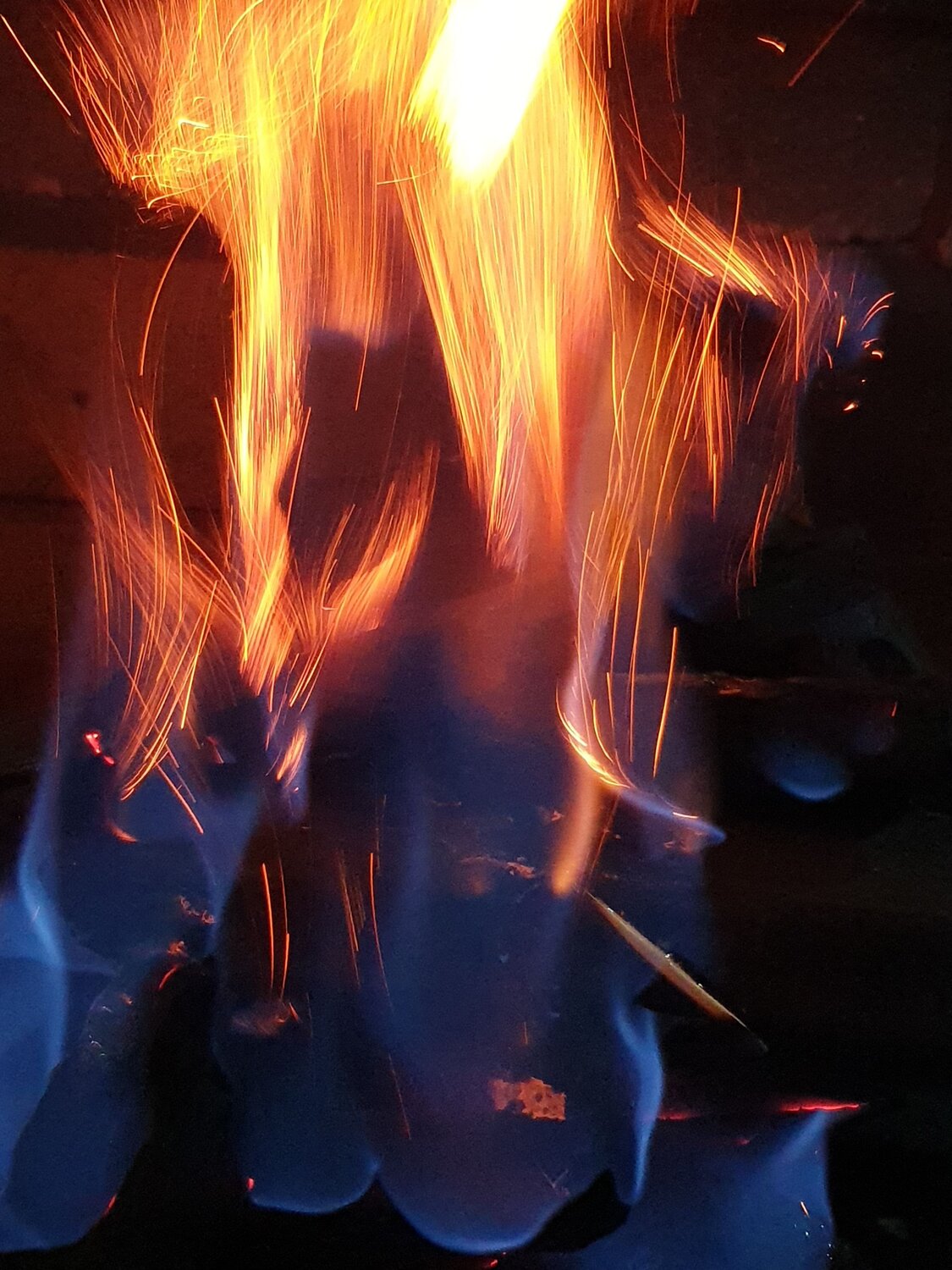 Photo #13810263