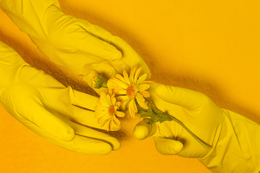 Photograph by Ineta Osipoviča