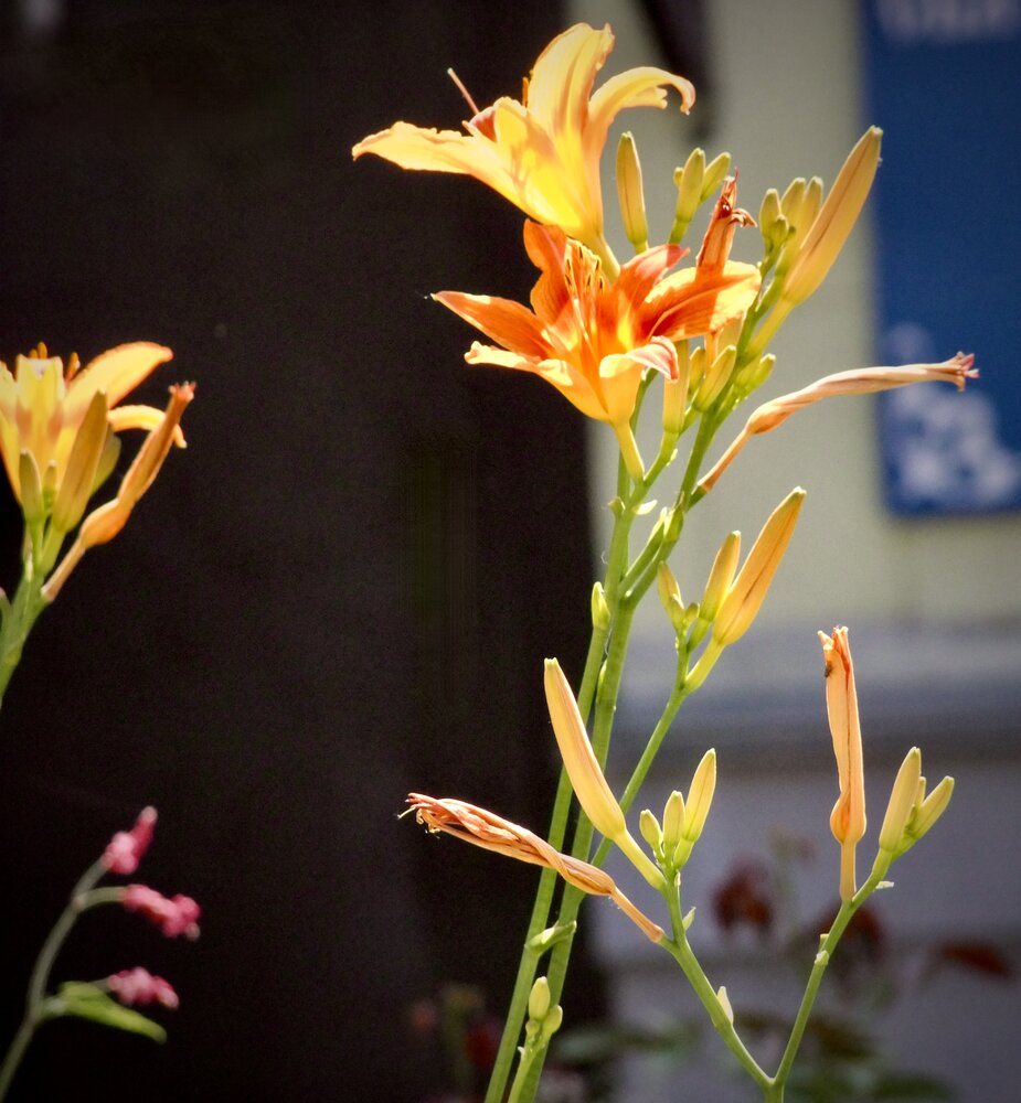 Photograph by Татьяна Шитлина