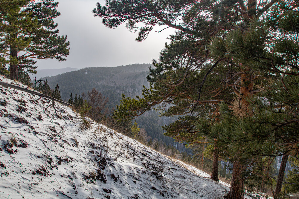 Photograph by Вадим Топычканов