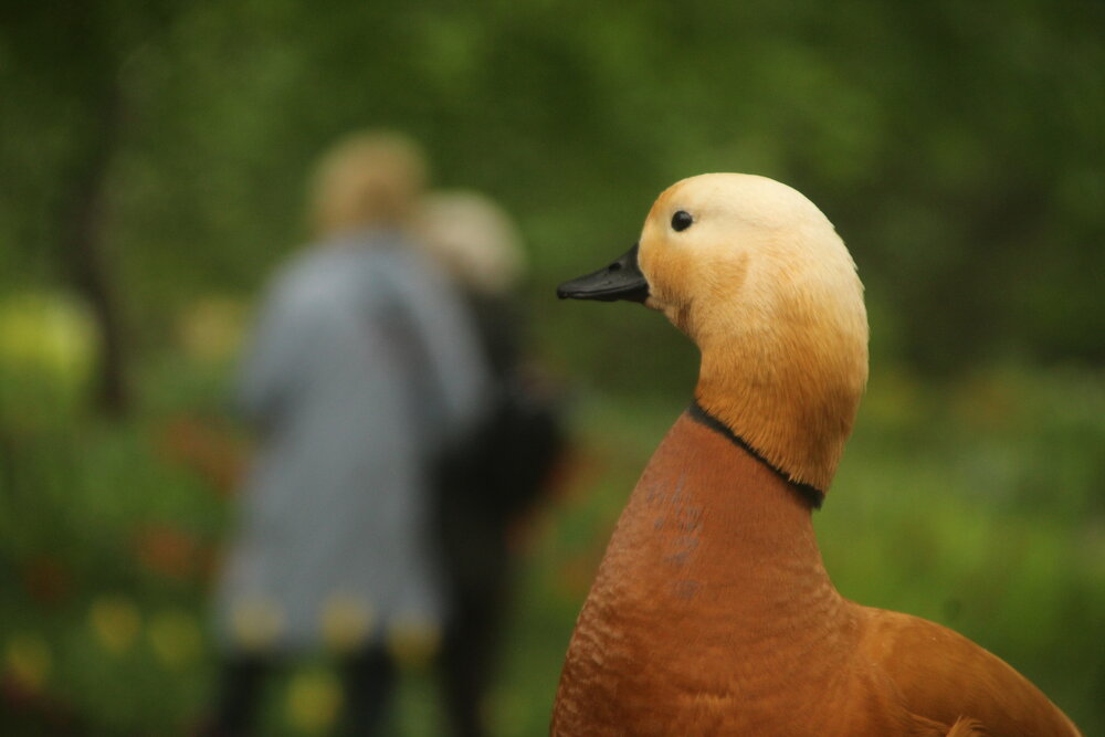 Photograph by Илья Беликов