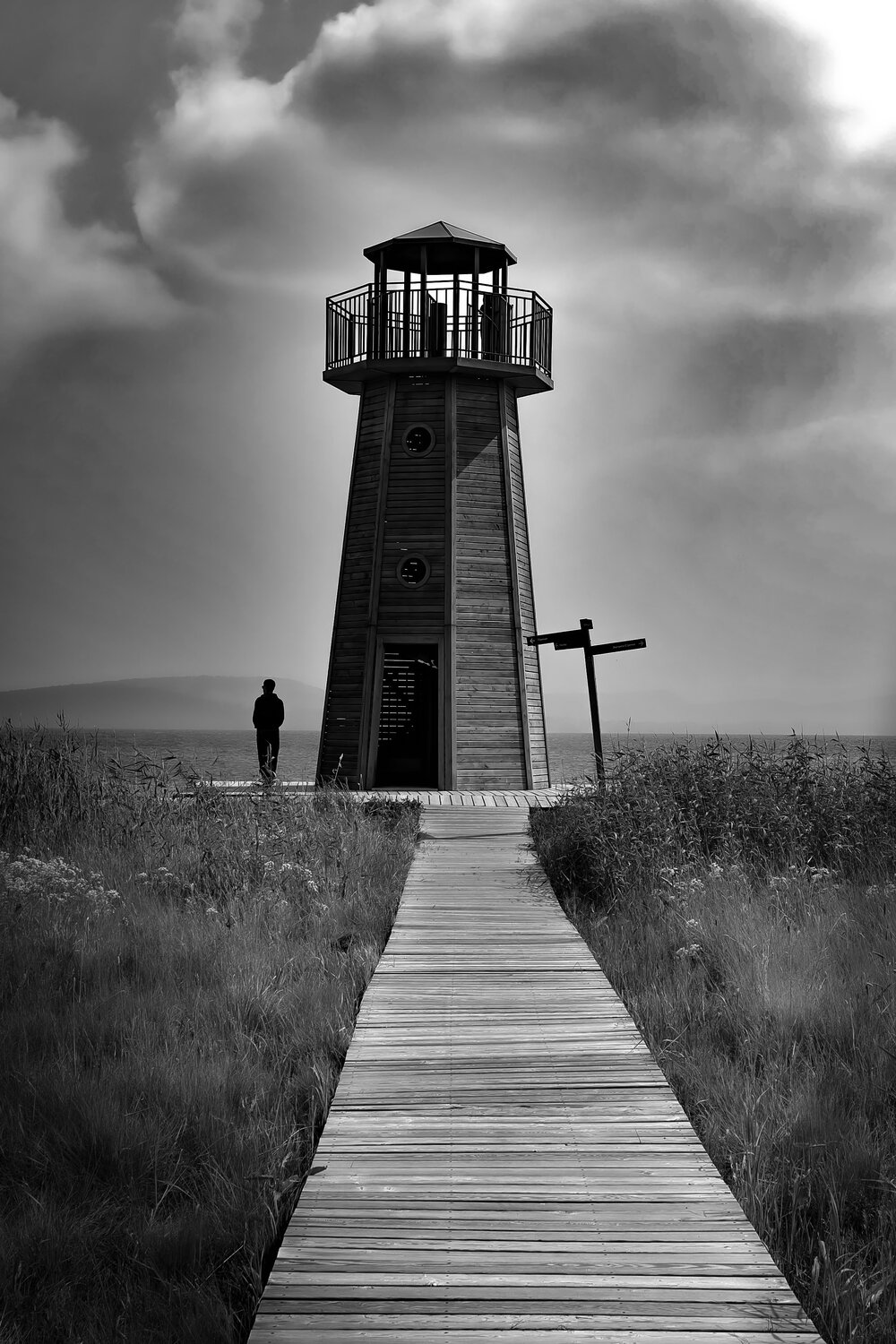 Photo #13810444