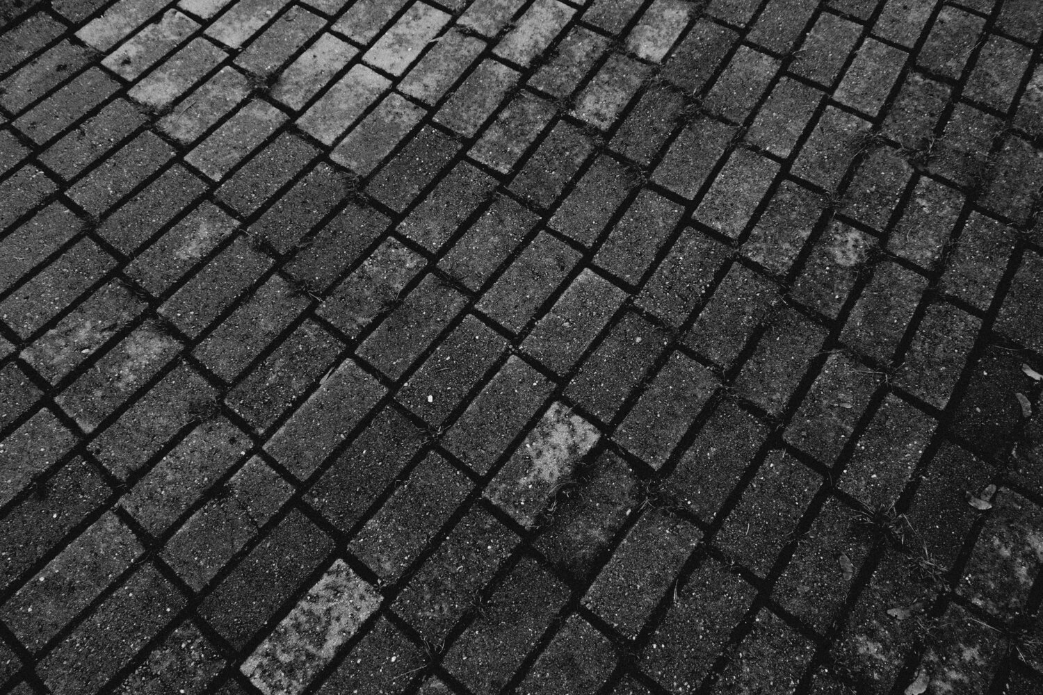 Photo #13810488
