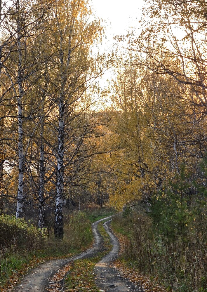Фотография автора Татьяна Шарлап
