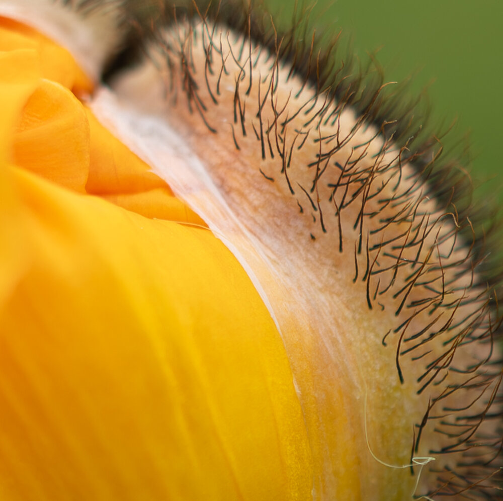 Photograph by Александра Смирнова
