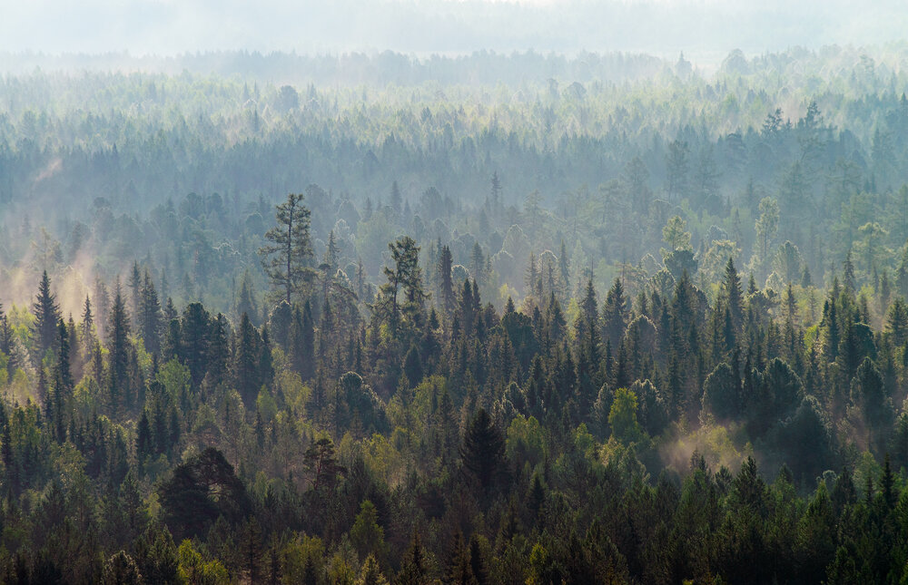 Photograph by Воинков Виктор