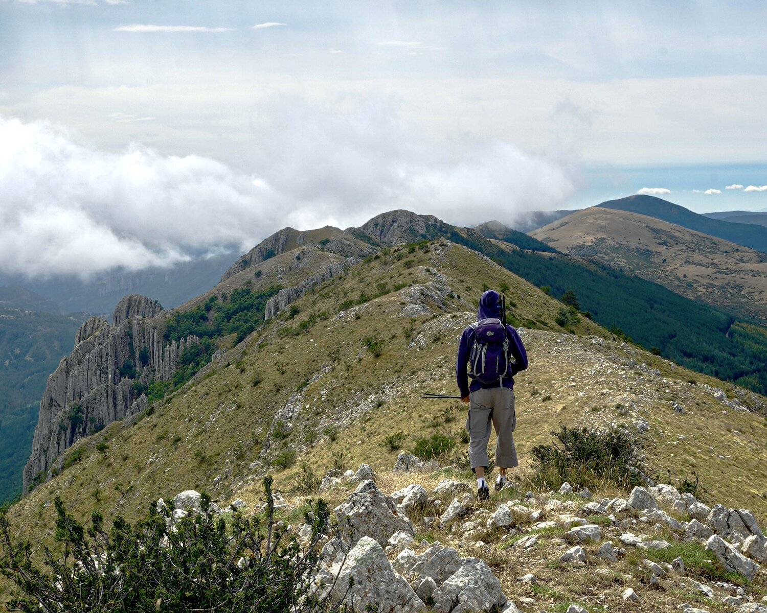 Photo #13810587