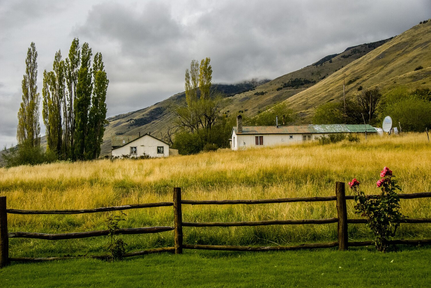 Photo #13810600