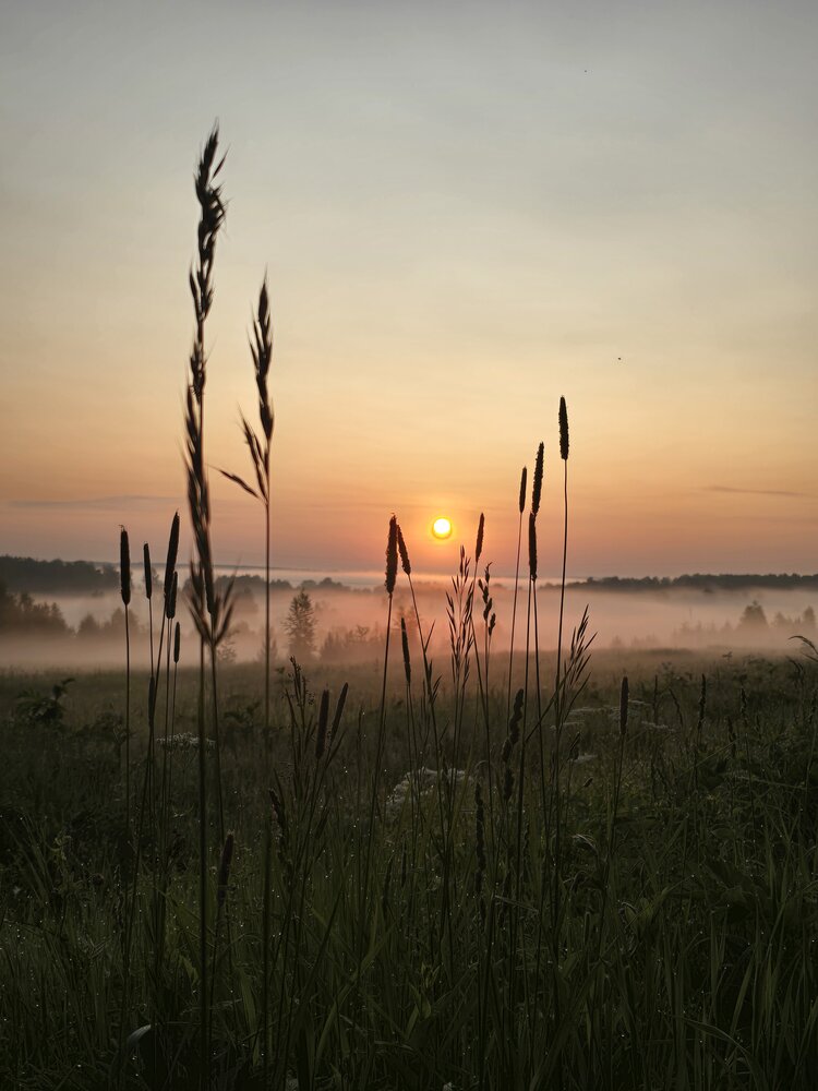 Photograph by Татьяна Шарлап