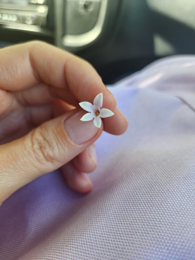 Photo #13810644