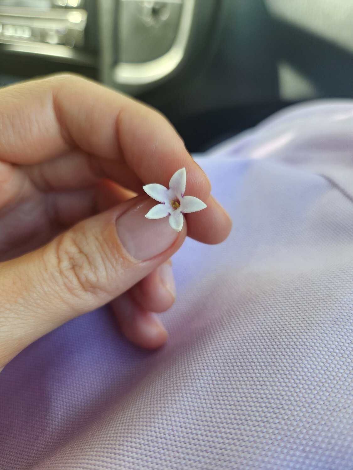 Photo #13810644