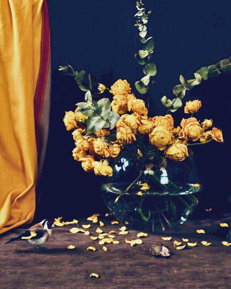 Photograph by Galina Sa