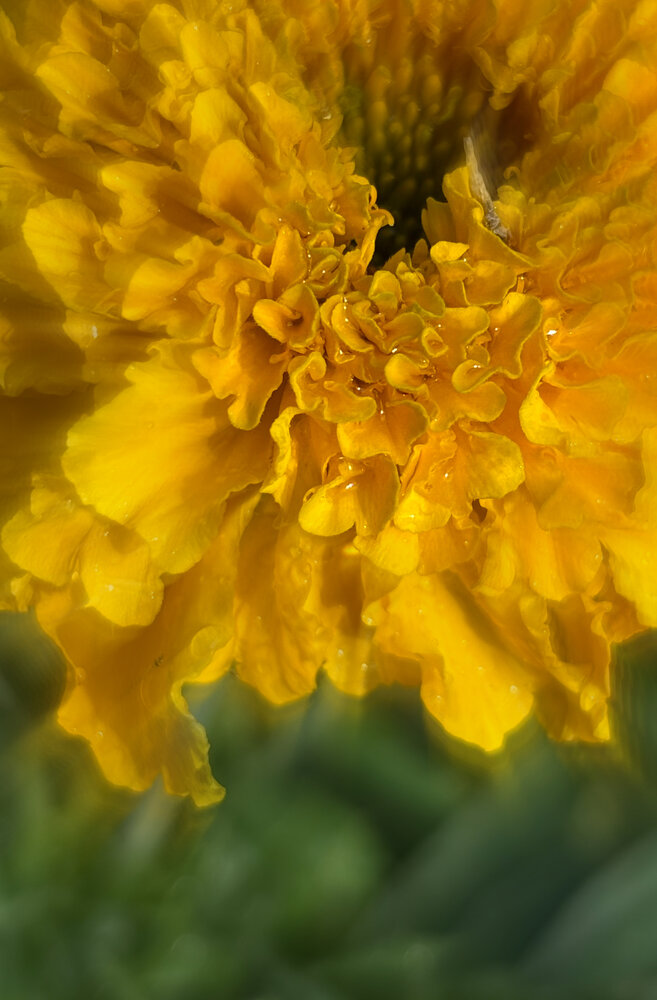 Photograph by Екатерина Букаева