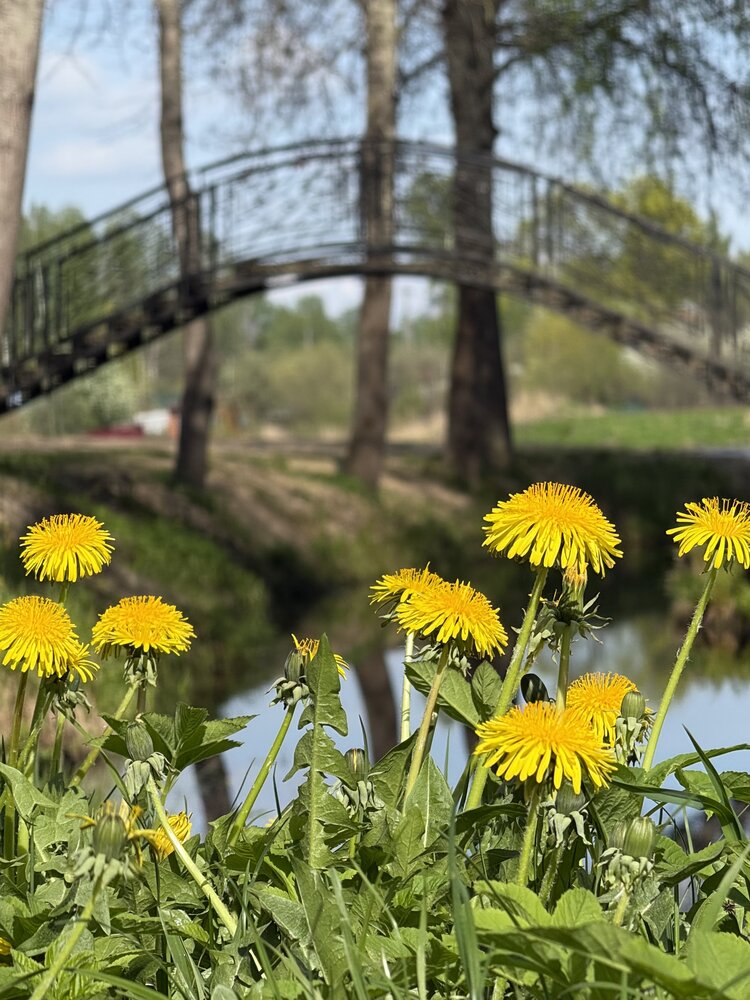 Photograph by Ирина Сорока