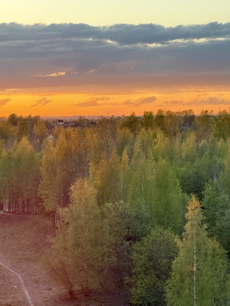 Photograph by Ирина Сорока